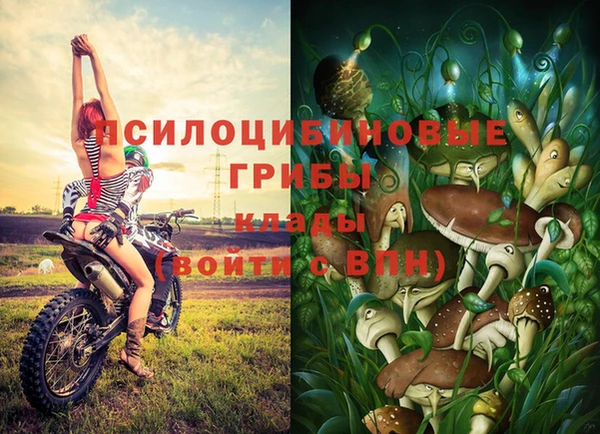 каннабис Алексин