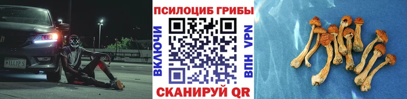 Псилоцибиновые грибы Psilocybe  MEGA маркетплейс  Рубцовск 